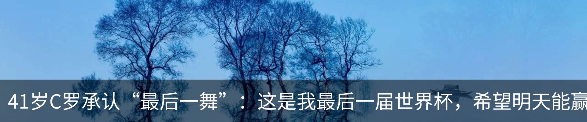 内页banner
